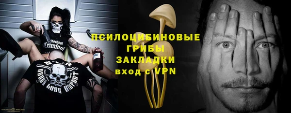крисы Козельск