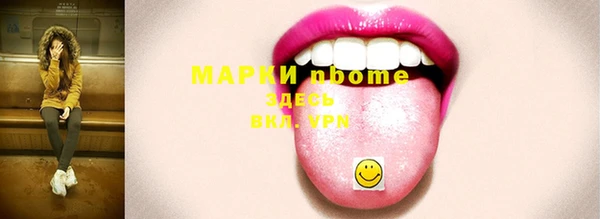 крисы Козельск