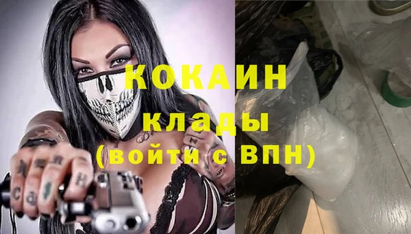 крисы Козельск